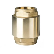 CherPlus visszacsapó szelep sárgaréz alátéttel 1"